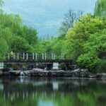 Beijing_s_New_Urban_Oasis__National_Botanical_Garden_Blooms____ video poster