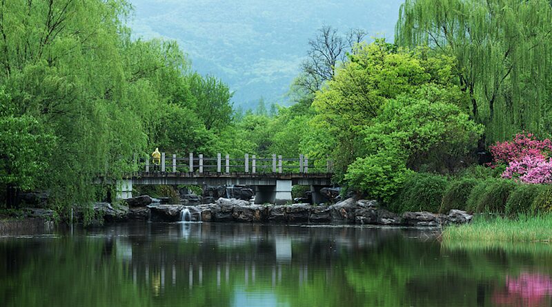 Beijing_s_New_Urban_Oasis__National_Botanical_Garden_Blooms_____poster - 🌍NewspaperAmigo – Your Global News Buddy 🗞️ Beijing_s_New_Urban_Oasis__National_Botanical_Garden_Blooms____ video poster