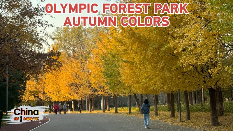 Beijing_s_Olympic_Forest_Park_Dazzles_in_Autumn_Gold___poster - 🌍NewspaperAmigo – Your Global News Buddy 🗞️ Beijing_s_Olympic_Forest_Park_Dazzles_in_Autumn_Gold__ video poster
