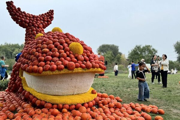 Beijing’s World Flower Wonderland Park Transforms with 200,000 Pumpkins for Harvest Fest 🎃🌾 Beijing_s_World_Flower_Wonderland_Park_Transforms_with_200_000_Pumpkins_for_Harvest_Fest___