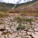 Bengaluru_Faces_Severe_Water_Crunch___India_s_Silicon_Valley__Battles_Rising_Costs____