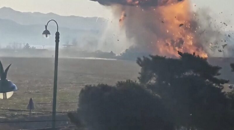 Bird_Strike_Suspected_in_South_Korea_Plane_Crash_That_Killed_179_____poster - 🌍NewspaperAmigo – Your Global News Buddy 🗞️ Bird_Strike_Suspected_in_South_Korea_Plane_Crash_That_Killed_179____ video poster