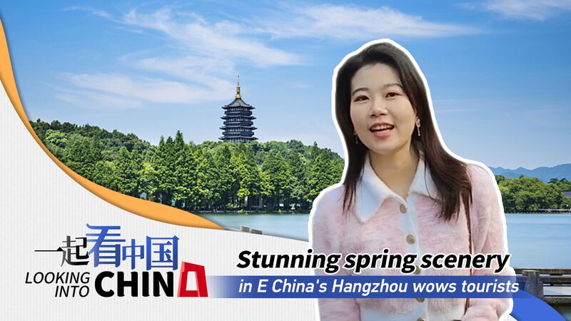 Blooming_Beauty_in_Hangzhou__Tangqi_s_Spring_Spectacle____poster - 🌍NewspaperAmigo – Your Global News Buddy 🗞️ Blooming_Beauty_in_Hangzhou__Tangqi_s_Spring_Spectacle___ video poster