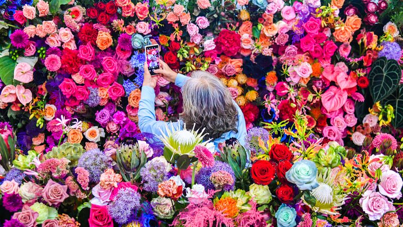 Blooming_Marvels__Hortiflorexpo_2024_Brings_Global_Florals_to_Beijing_ - 🌍NewspaperAmigo – Your Global News Buddy 🗞️ __Blooming_Marvels__Hortiflorexpo_2024_Brings_Global_Florals_to_Beijing_