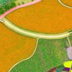 Blooms___Beyond__Holland_Flower_Park_s_Tulip_Magic___ video poster