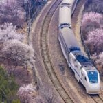 Blossom_Express__Ride_China_s__Trains_to_Spring____