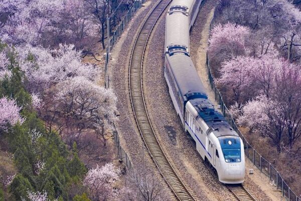 Blossom Express: Ride China’s ‘Trains to Spring’ 🌸🚆 Blossom_Express__Ride_China_s__Trains_to_Spring____