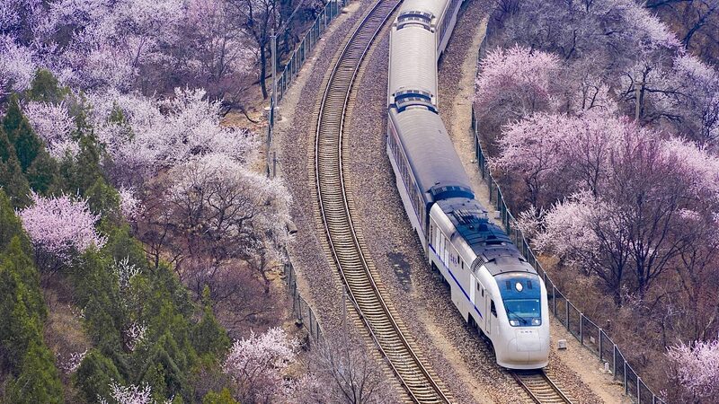 Blossom_Express__Ride_China_s__Trains_to_Spring____