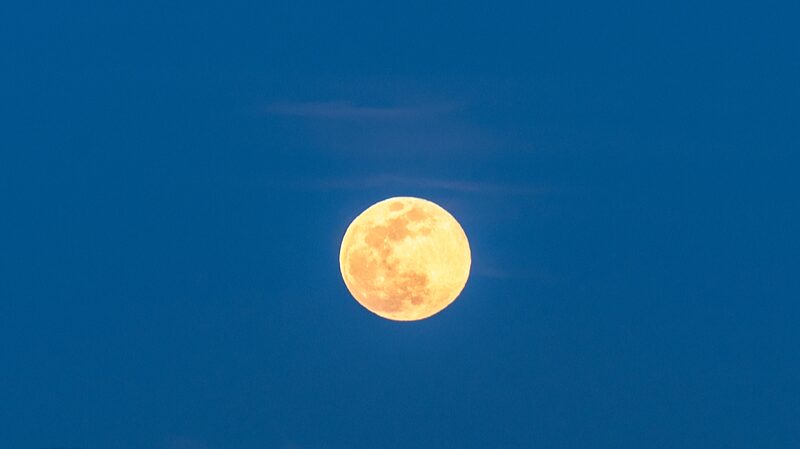 Blue_Supermoon_Alert__Don_t_Miss_Tonight_s_Celestial_Show__poster - 🌍NewspaperAmigo – Your Global News Buddy 🗞️ __Blue_Supermoon_Alert__Don_t_Miss_Tonight_s_Celestial_Show_ video poster