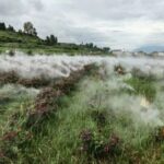 Boosting_Rural_Resilience__China_s_Fight_Against_Climate_Change___