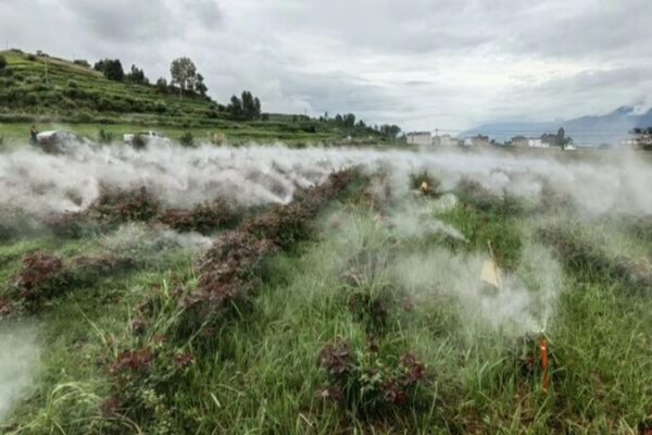 Boosting Rural Resilience: China’s Fight Against Climate Change 🌱🌍 Boosting_Rural_Resilience__China_s_Fight_Against_Climate_Change___
