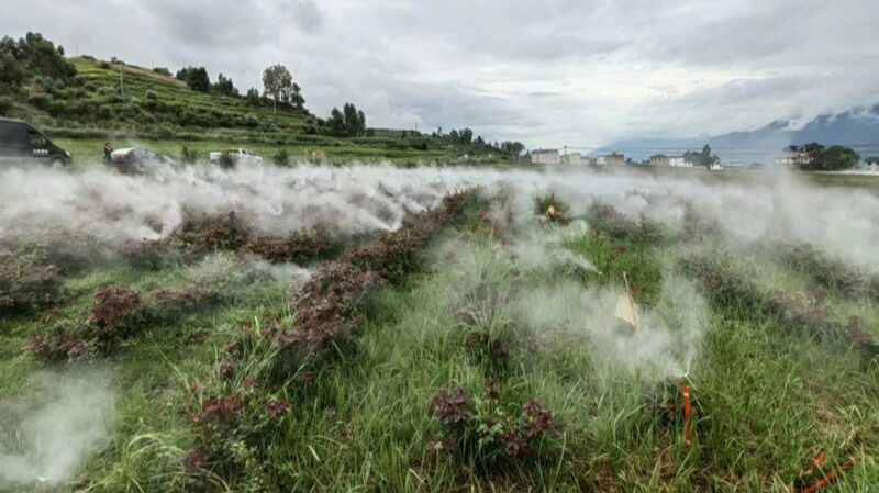 Boosting_Rural_Resilience__China_s_Fight_Against_Climate_Change___ - 🌍NewspaperAmigo – Your Global News Buddy 🗞️ Boosting_Rural_Resilience__China_s_Fight_Against_Climate_Change___