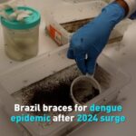 Brazil_Battles_New_Dengue_Surge____What_You_Need_to_Know__ video poster