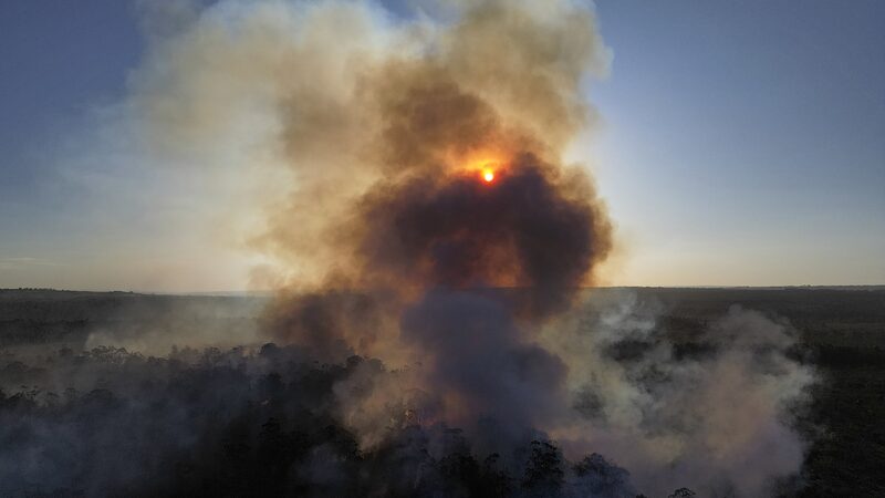 Brazil_Drought_Crisis__1_000_Cities_Hit_as_Fires_Rage___