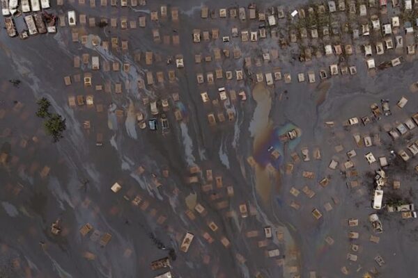 Brazil Floods Wreak Havoc on Livestock: Meat Crisis Looms 🌊🐖 Brazil_Floods_Wreak_Havoc_on_Livestock__Meat_Crisis_Looms___
