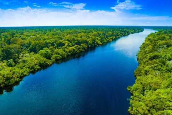 Brazil Sees 11.6% Drop in Deforestation in 2023 🌱📉 Brazil_Sees_11_6__Drop_in_Deforestation_in_2023___