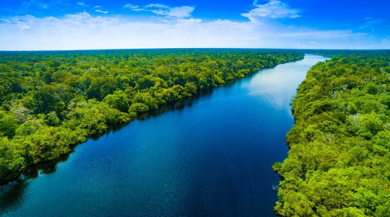 Brazil_Sees_11_6__Drop_in_Deforestation_in_2023___ - 🌍NewspaperAmigo – Your Global News Buddy 🗞️ Brazil_Sees_11_6__Drop_in_Deforestation_in_2023___