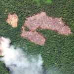 Brazil_s_Amazon_Deforestation_Hits_6_Year_Low___