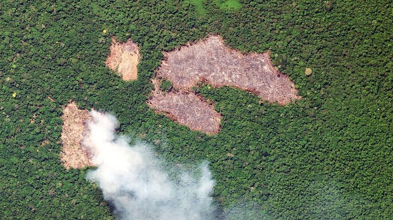 Brazil_s_Amazon_Deforestation_Hits_6_Year_Low___