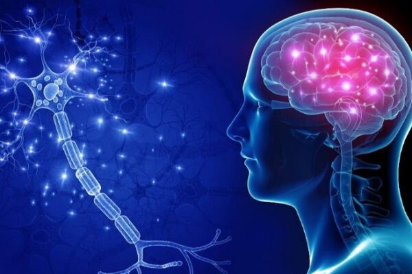 🧲 Breakthrough Tech Controls Brain Behavior Wirelessly! __Breakthrough_Tech_Controls_Brain_Behavior_Wirelessly_