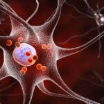 Breakthrough_in_Parkinson_s_Treatment__Chinese_Scientists_Discover_Key_Target___