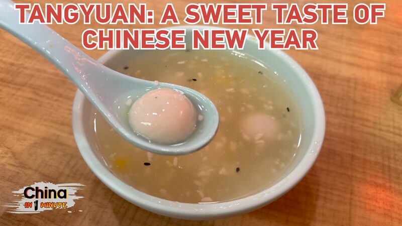 Bringing_Sweetness_Home__Tangyuan_Traditions_for_Chinese_New_Year___ video poster