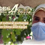 Building_Bridges__CSCEC_Showcases_Egypt_s_Iconic_CBD_Project____ video poster