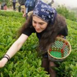 Bulgarian_Tea_Lovers_Brew_Cultural_Exchange_in_Ningbo___