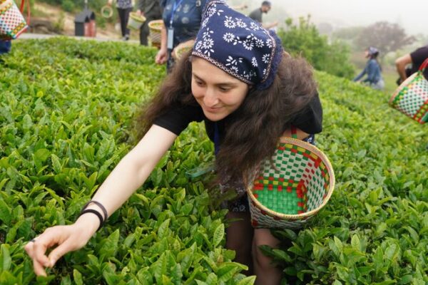 Bulgarian Tea Lovers Brew Cultural Exchange in Ningbo 🌱✨ Bulgarian_Tea_Lovers_Brew_Cultural_Exchange_in_Ningbo___