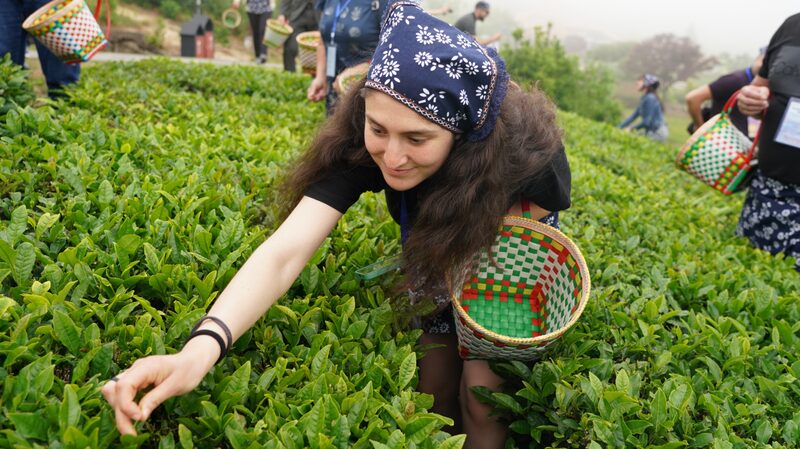 Bulgarian_Tea_Lovers_Brew_Cultural_Exchange_in_Ningbo___ - 🌍NewspaperAmigo – Your Global News Buddy 🗞️ Bulgarian_Tea_Lovers_Brew_Cultural_Exchange_in_Ningbo___