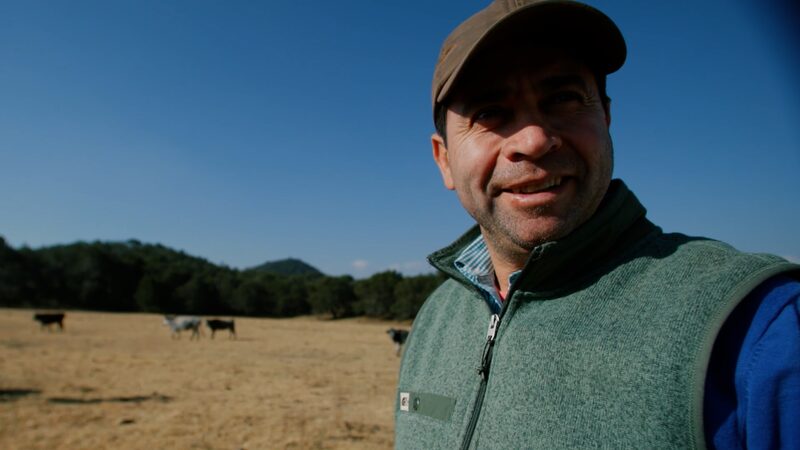 Bullfighting_in_Mexico__Tradition_vs__Controversy____poster - 🌍NewspaperAmigo – Your Global News Buddy 🗞️ Bullfighting_in_Mexico__Tradition_vs__Controversy___ video poster