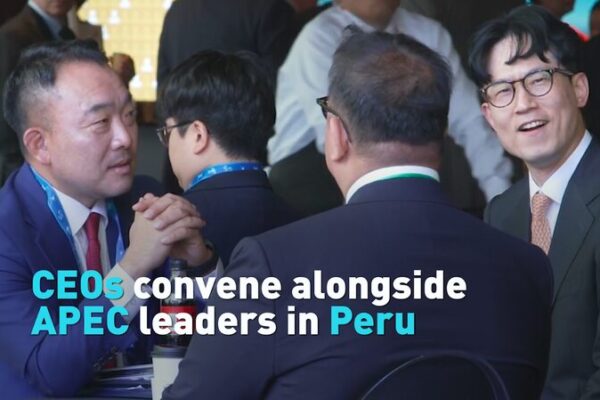 CEOs & World Leaders Team Up at APEC Summit ๐๐ผ CEOs___World_Leaders_Team_Up_at_APEC_Summit___ video poster