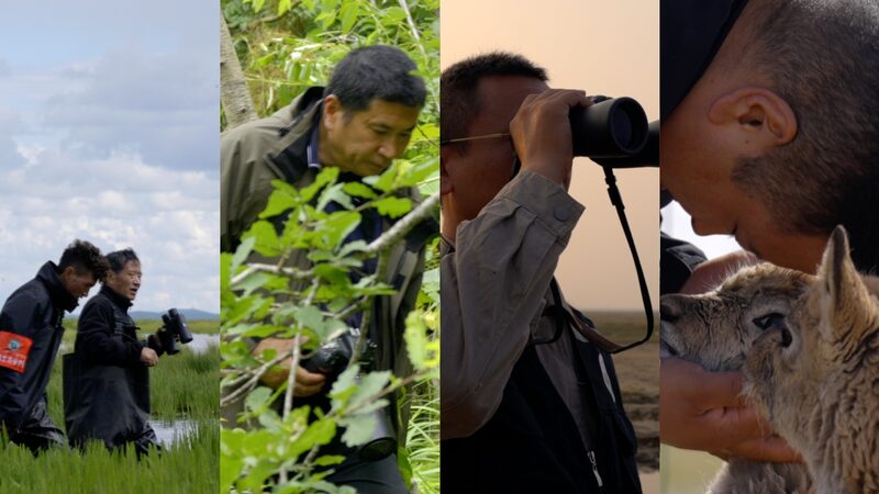 CGTN_s_New_Docu_Series_Spotlights_Unsung_Heroes_of_Wildlife_Conservation_poster - 🌍NewspaperAmigo – Your Global News Buddy 🗞️ __CGTN_s_New_Docu_Series_Spotlights_Unsung_Heroes_of_Wildlife_Conservation video poster
