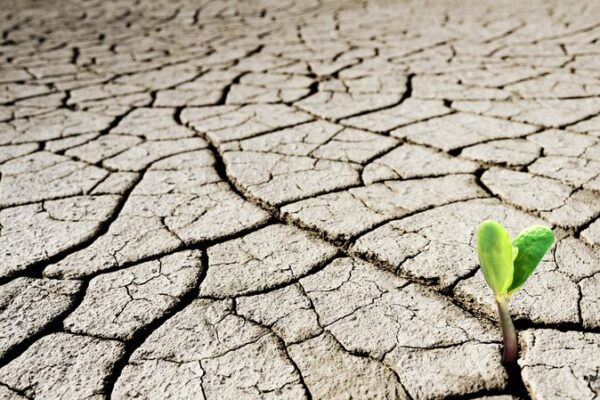 🌍🔥 COP16 Report: 75% of Earth’s Land Now ‘Permanently Drier’ ___COP16_Report__75__of_Earth_s_Land_Now__Permanently_Drier_