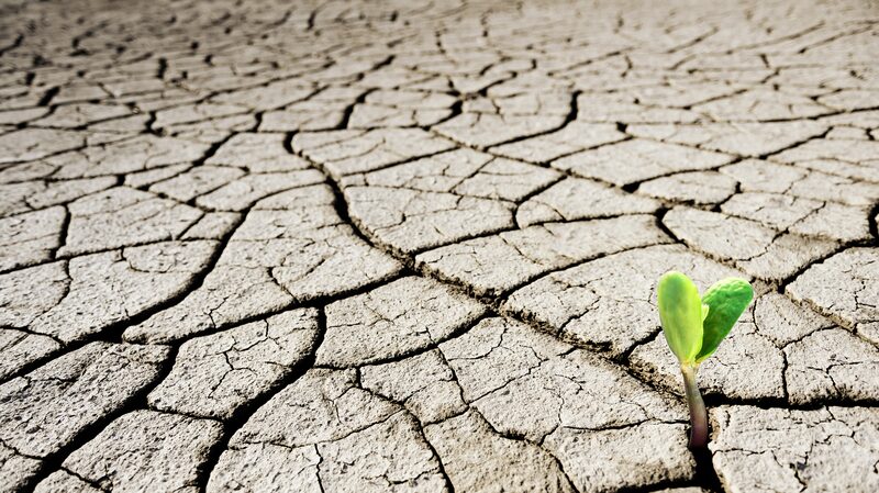 COP16_Report__75__of_Earth_s_Land_Now__Permanently_Drier_ - 🌍NewspaperAmigo – Your Global News Buddy 🗞️ ___COP16_Report__75__of_Earth_s_Land_Now__Permanently_Drier_