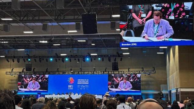 COP16 Wraps Up with Major Biodiversity Agreements, But Funding Falls Short 🌿💔 COP16_Wraps_Up_with_Major_Biodiversity_Agreements__But_Funding_Falls_Short___