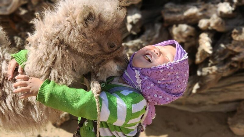 Camels__The_Unsung_Heroes_of_Inner_Mongolia_s_Desert___