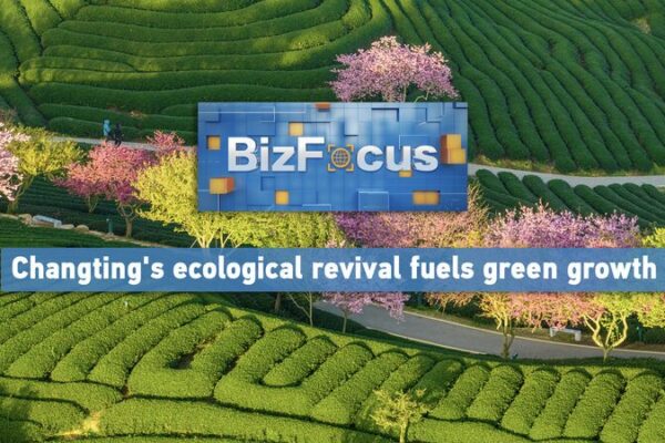 Changting’s Green Miracle: From Barren Hills to Eco-Haven 🌱 Changting_s_Green_Miracle__From_Barren_Hills_to_Eco_Haven__ video poster