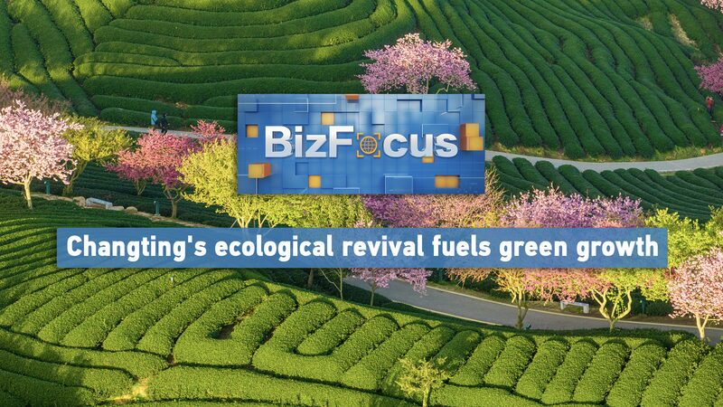 Changting_s_Green_Miracle__From_Barren_Hills_to_Eco_Haven___poster - 🌍NewspaperAmigo – Your Global News Buddy 🗞️ Changting_s_Green_Miracle__From_Barren_Hills_to_Eco_Haven__ video poster
