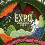 Chengdu_Blooms____2024_Horticultural_Expo_Opens_with_Green_Vision