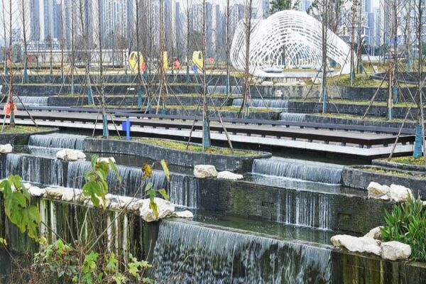 Chengdu Unveils Eco-Friendly Wetland Park 🌿💧🏞️ Chengdu_Unveils_Eco_Friendly_Wetland_Park_____