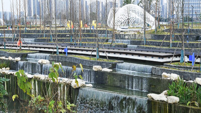 Chengdu_Unveils_Eco_Friendly_Wetland_Park_____