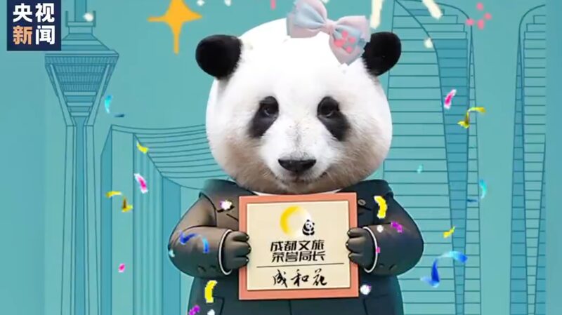 Chengdu_s_Panda_Star_Hua_Hua_Named_Honorary_Tourism_Chief____