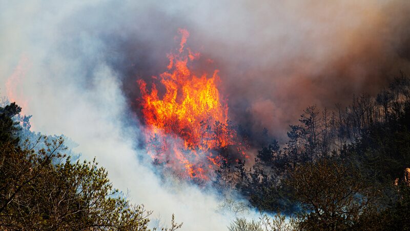 Chile_Wildfire_Scandal__Firefighter___Official_Accused___ - 🌍NewspaperAmigo – Your Global News Buddy 🗞️ Chile_Wildfire_Scandal__Firefighter___Official_Accused___