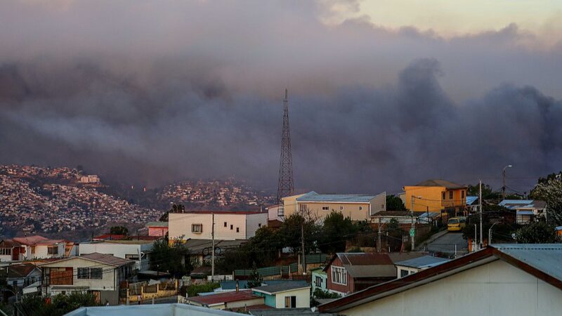 Chile_s_Botanical_Garden_Ravaged_by_Deadly_Wildfires__123_Lives_Lost - 🌍NewspaperAmigo – Your Global News Buddy 🗞️ __Chile_s_Botanical_Garden_Ravaged_by_Deadly_Wildfires__123_Lives_Lost