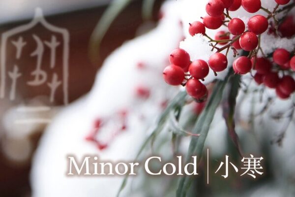 Chill_Vibes__How_Calligraphy_Captures_Minor_Cold_s_Spirit_____ video poster