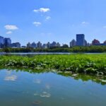 China_Aims_to_Clear_the_Air_by_2025___