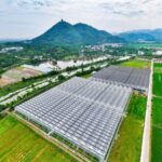 China_Bets_Big_on_AI___Seeds_to_Boost_Food_Security___