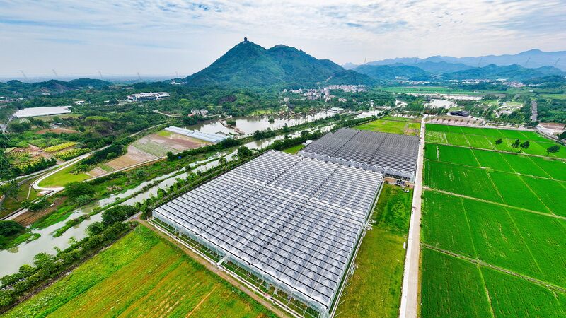 China_Bets_Big_on_AI___Seeds_to_Boost_Food_Security___