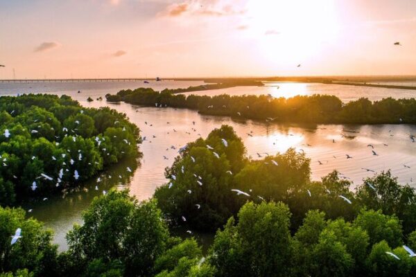 China Boosts Mangrove Forests by 7,000 Hectares from 2020-2023 ๐ฑ๐ China_Boosts_Mangrove_Forests_by_7_000_Hectares_from_2020_2023___